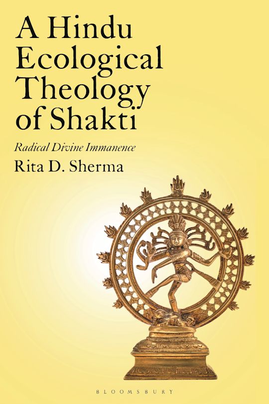 Radical Divine Immanence cover