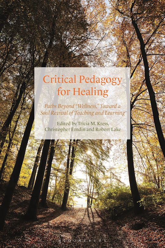 Critical Pedagogy for Healing: Paths Beyond "Wellness," Toward a Soul ...