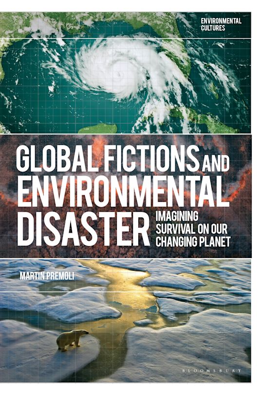 Global Fictions and Environmental Disaster cover