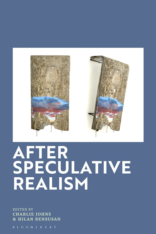 After Speculative Realism cover
