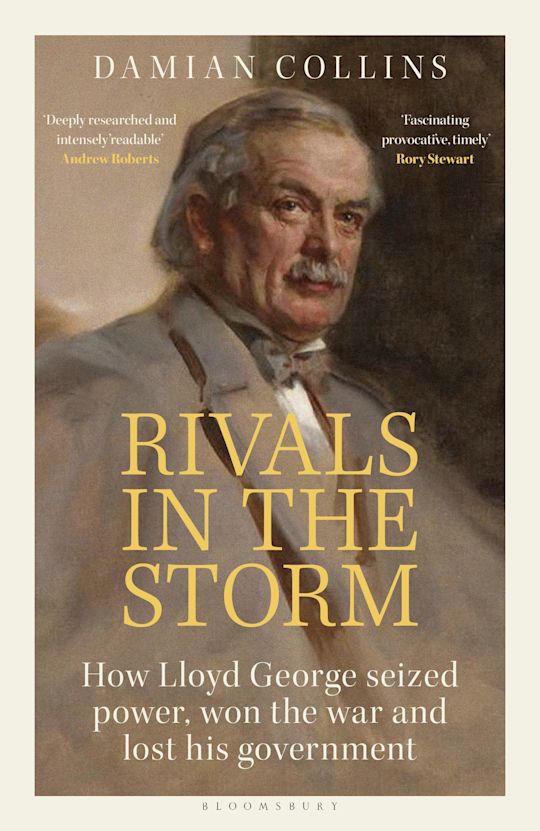 Rivals in the Storm cover