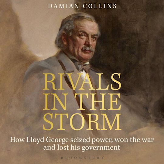 Rivals in the Storm cover