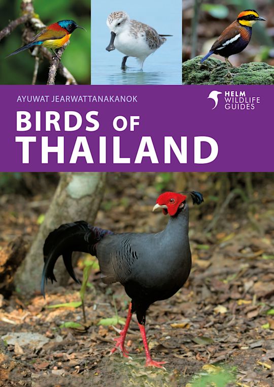 Birds of Thailand cover