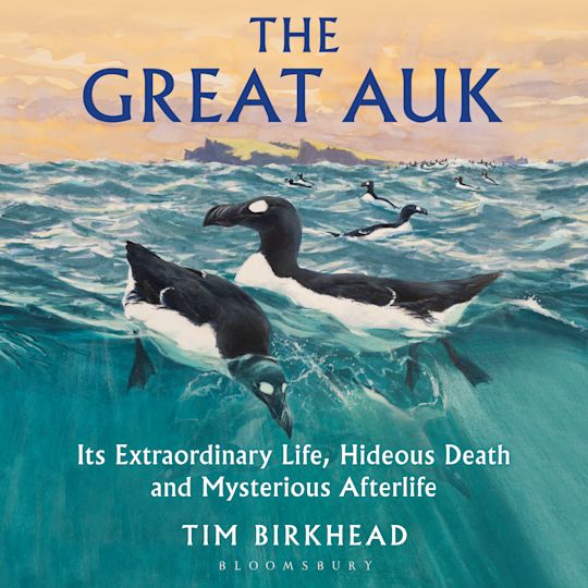 The Great Auk cover