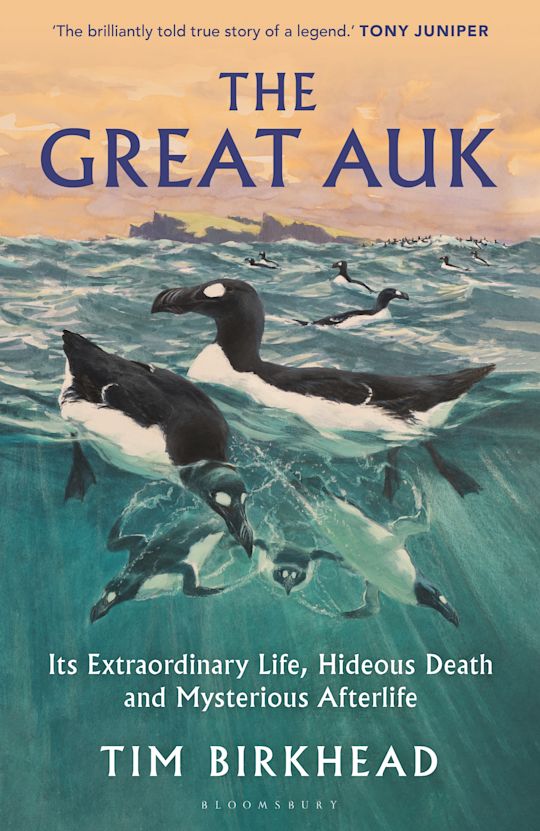 The Great Auk cover