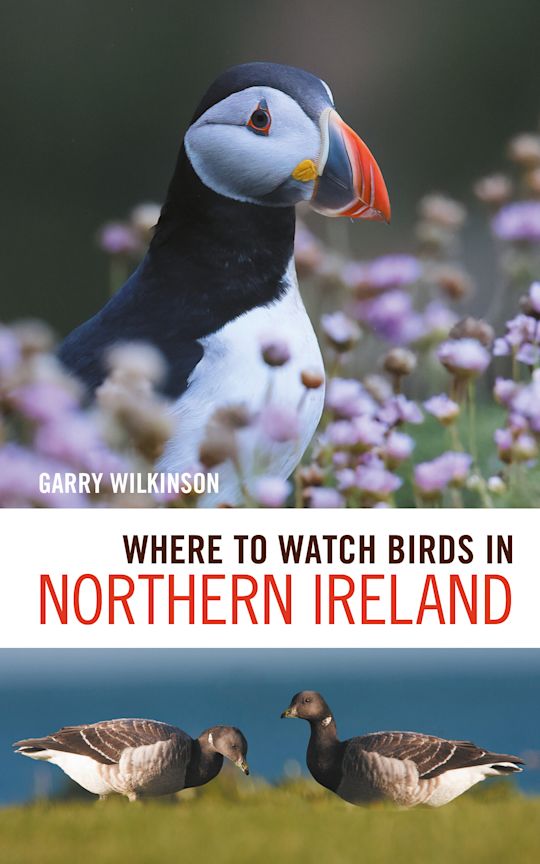 Where to Watch Birds in Northern Ireland cover