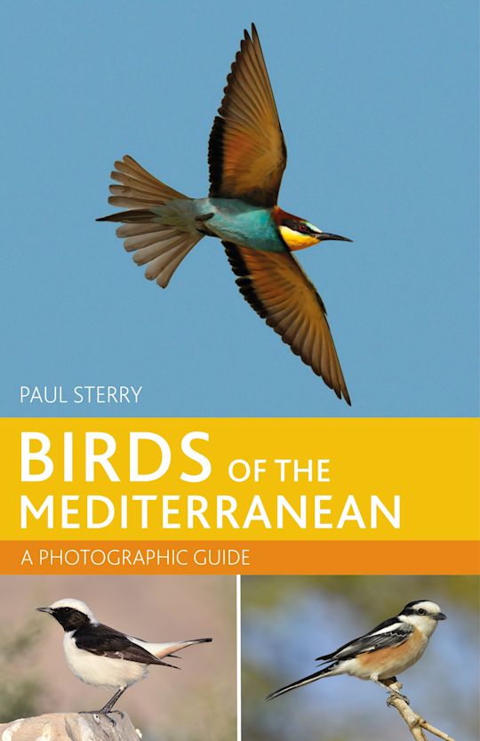 Birds of the Mediterranean: A Photographic Guide cover