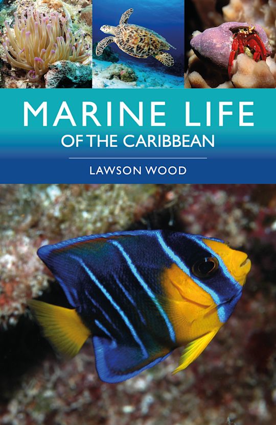 Marine Life of the Caribbean cover