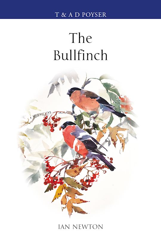 The Bullfinch cover