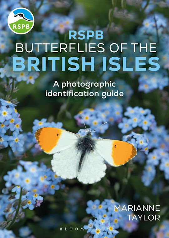RSPB Butterflies of the British Isles cover