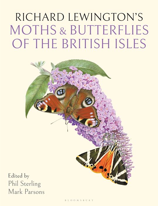 Richard Lewington's Moths & Butterflies of the British Isles cover