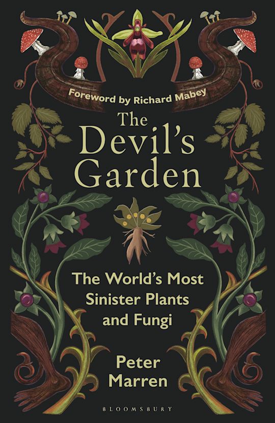The Devil’s Garden cover