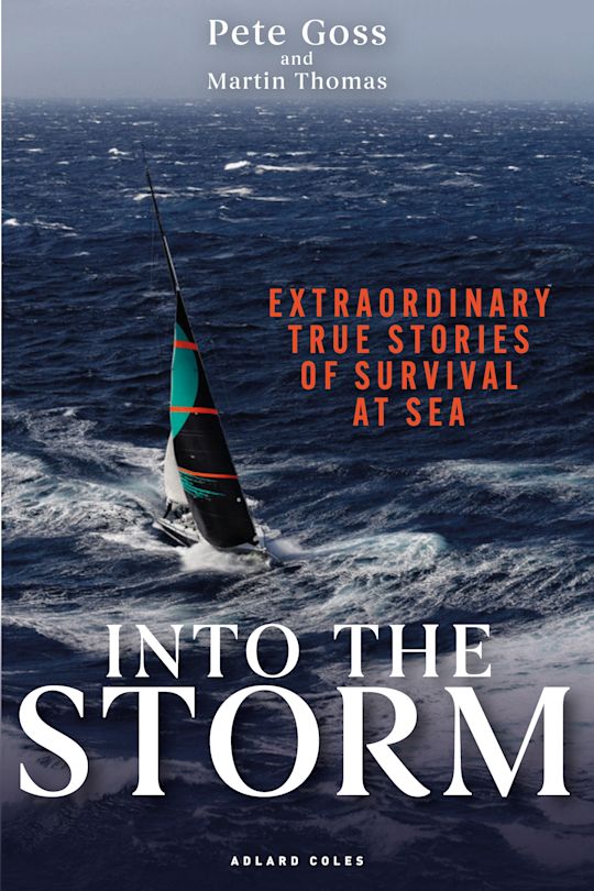 Into the Storm cover