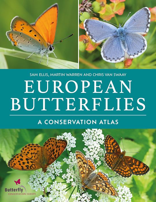 European Butterflies cover