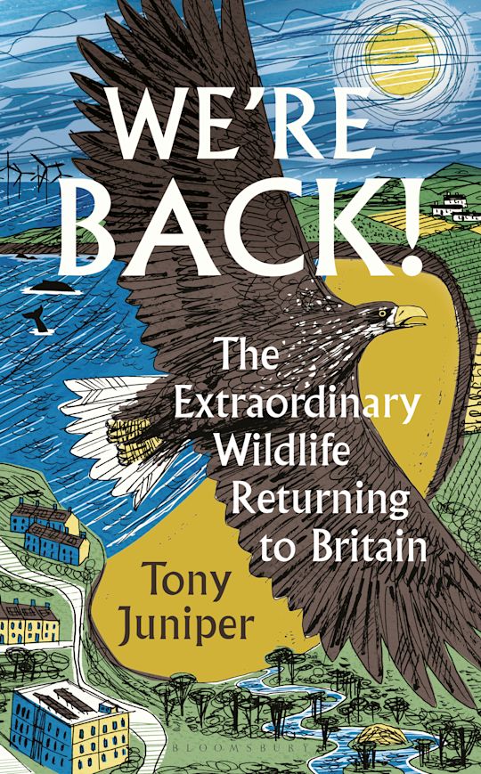 We're Back! cover
