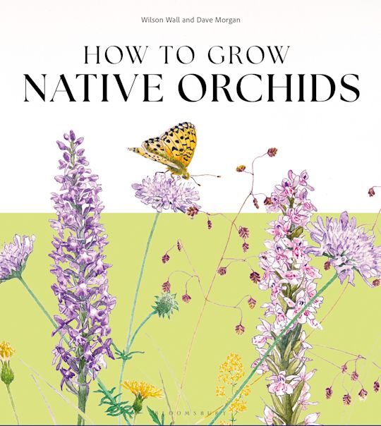How to Grow Native Orchids cover