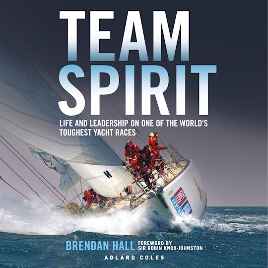 Team Spirit cover