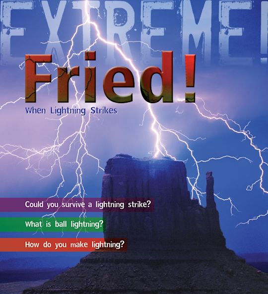 Extreme Science: Fried! cover