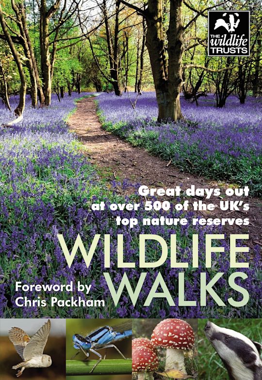 Wildlife Walks cover