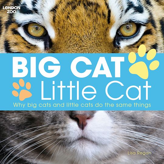 Big Cat, Little Cat cover