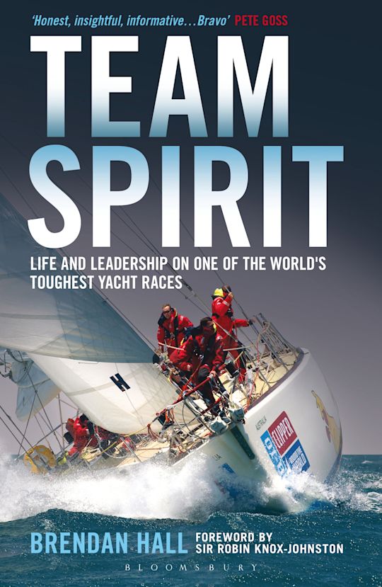 Team Spirit cover