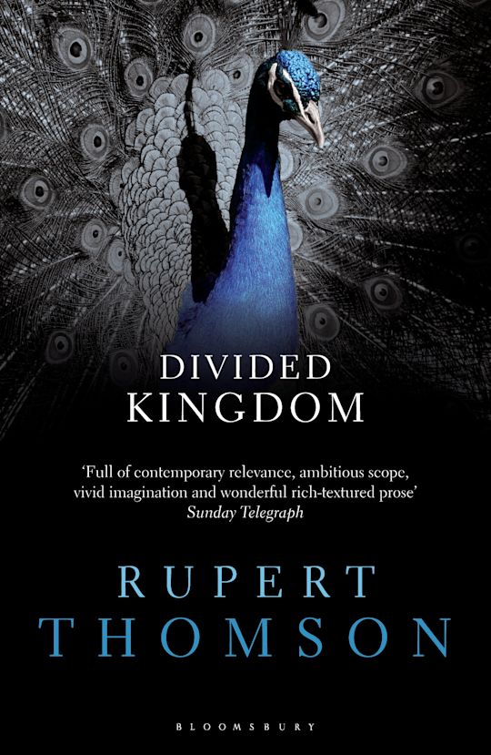 Divided Kingdom cover
