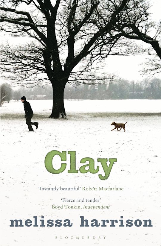 Clay cover