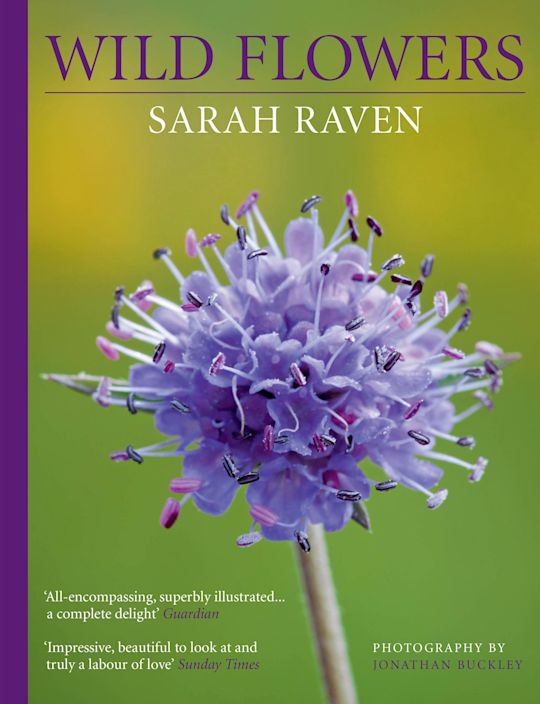 Sarah Raven's Wild Flowers cover