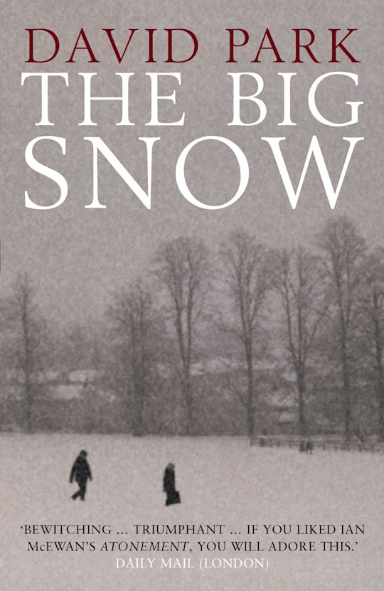 The Big Snow cover