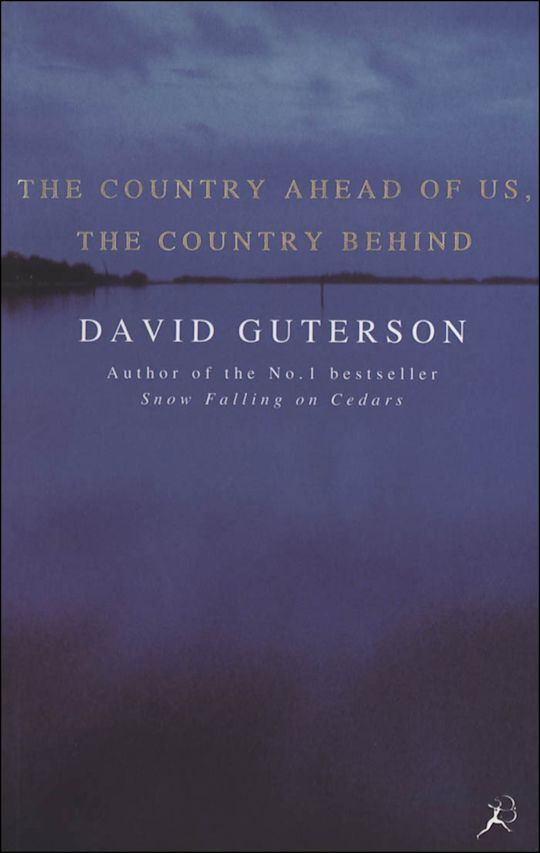 The Country Ahead of Us, the Country Behind cover