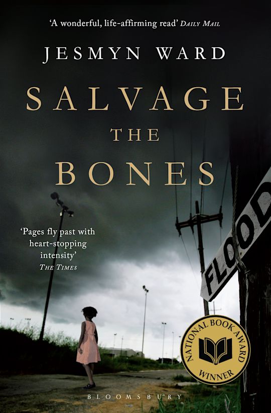 Salvage the Bones cover