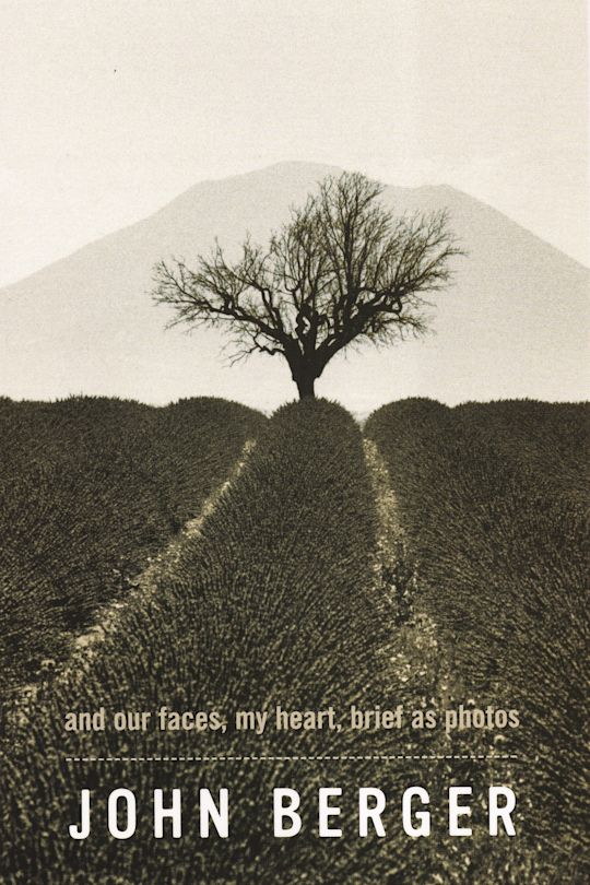 And Our Faces, My Heart, Brief As Photos cover