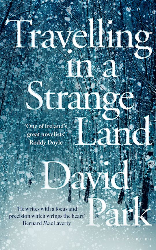 Travelling in a Strange Land cover
