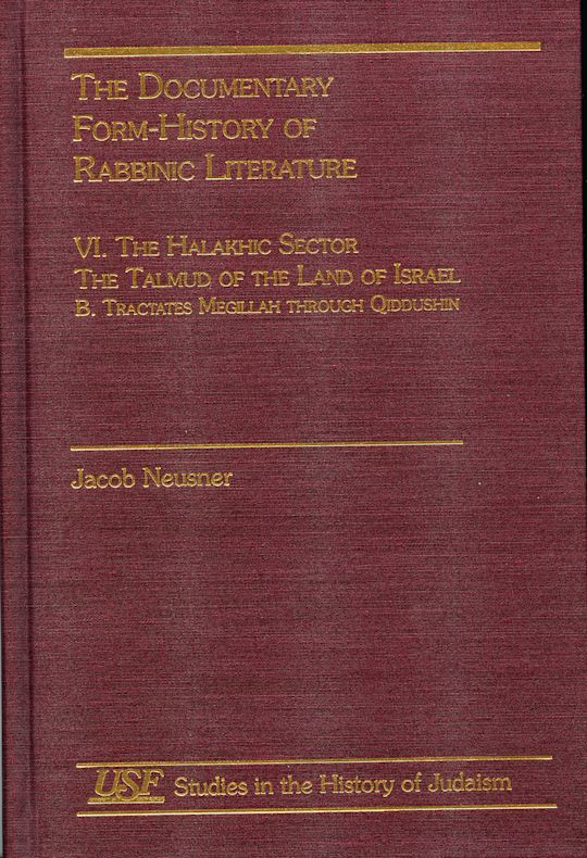 The Documentary Form-History of Rabbinic Literature cover