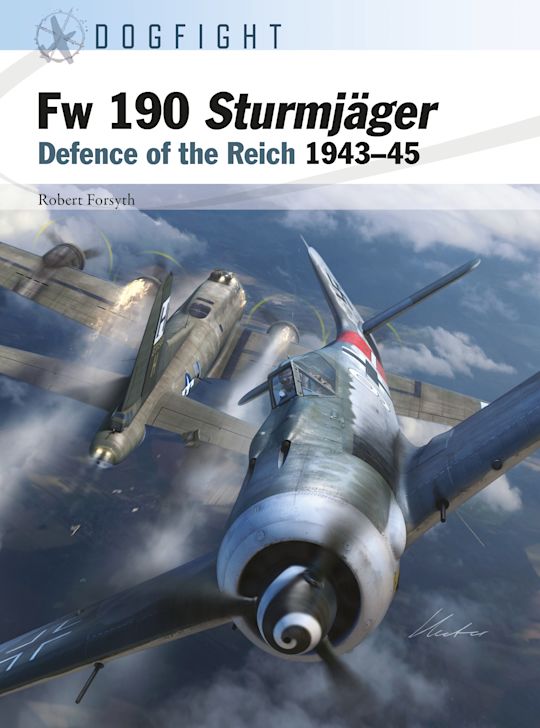 Fw 190 Sturmjäger cover