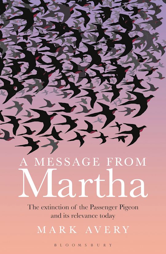 A Message from Martha cover