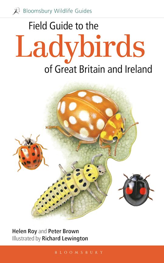 Field Guide to the Ladybirds of Great Britain and Ireland cover