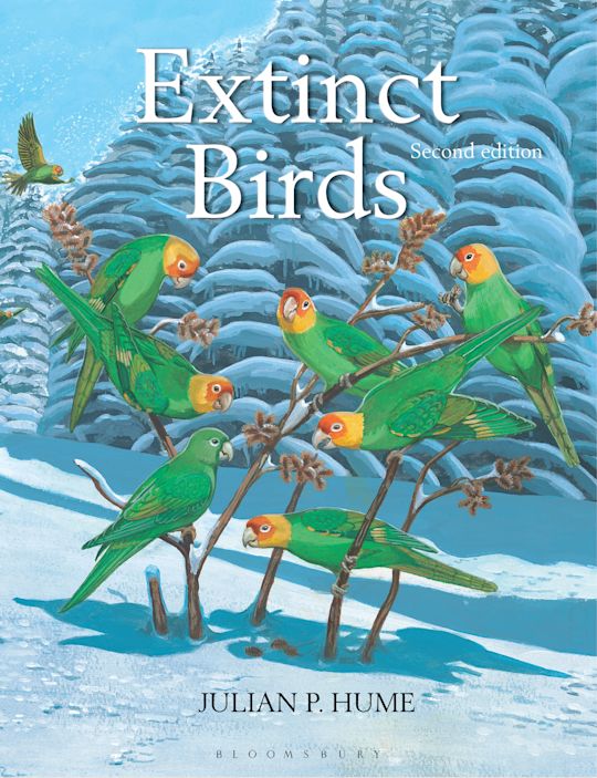 Extinct Birds【絶滅鳥類　洋書】 Extinct Birds: : Julian P. Hume: Bloomsbury Natural History
