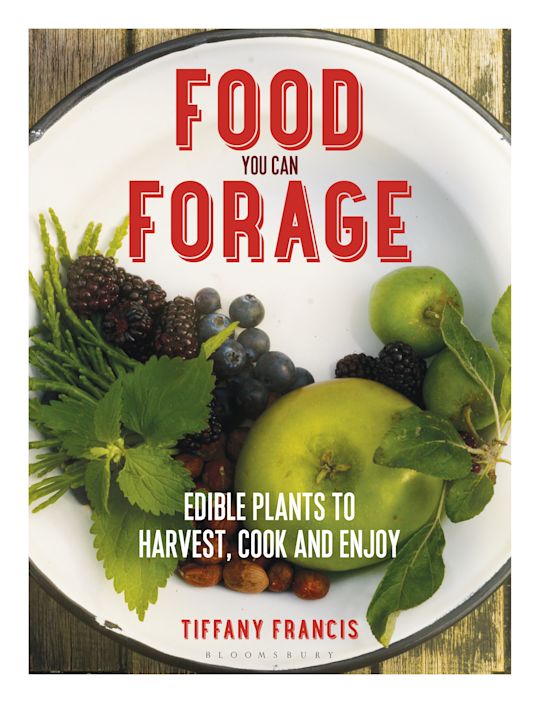 Food You Can Forage cover