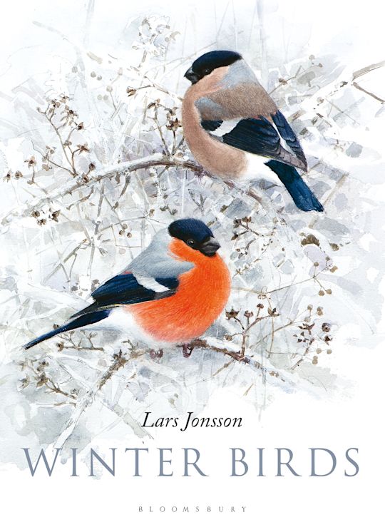 アート・デザイン・音楽 The Birds Didn't Die over the Winter Amazon | The Birds Didn't Die over the Winter | De La Huerta, Paz