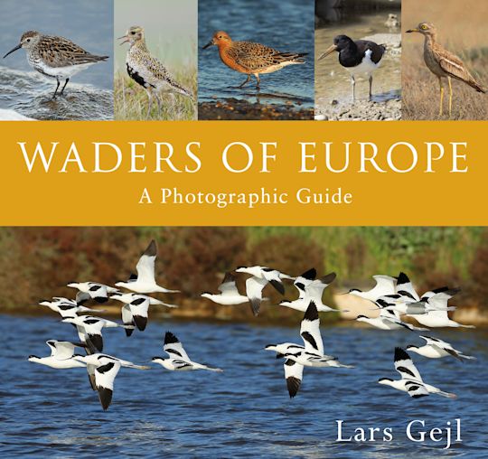Waders of Europe cover