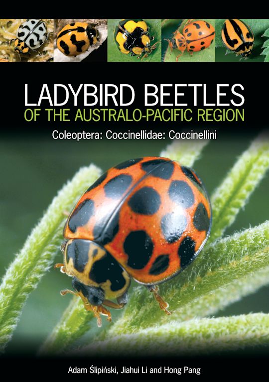 Ladybird Beetles of the Australo-Pacific Region cover
