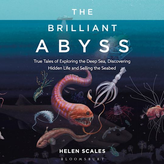 The Brilliant Abyss cover