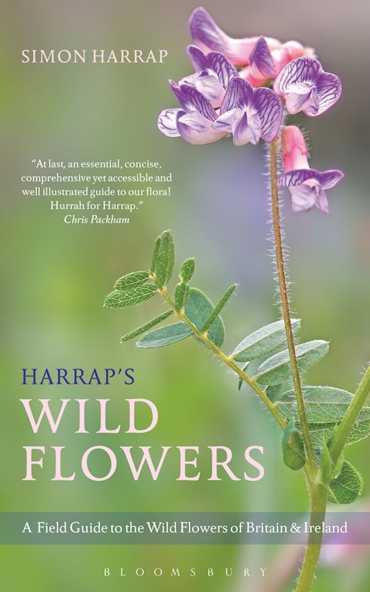 Harrap's Wild Flowers cover