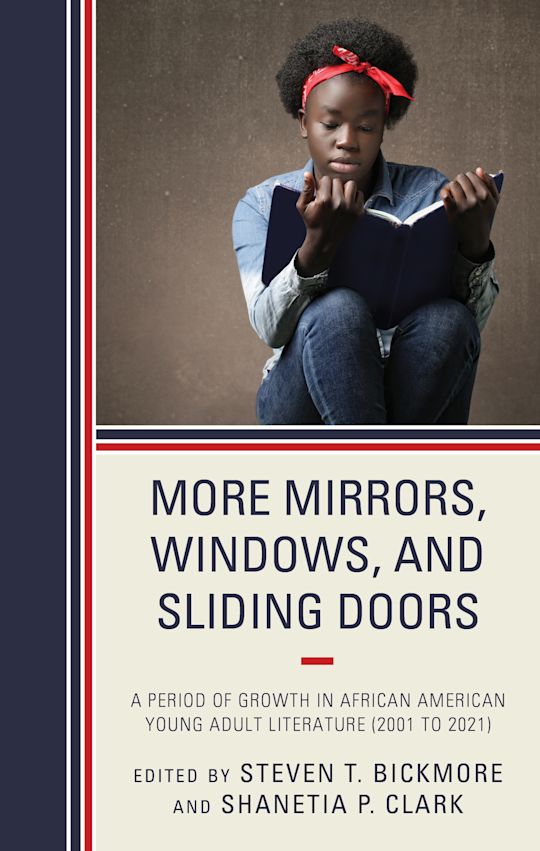 More Mirrors, Windows, and Sliding Doors cover