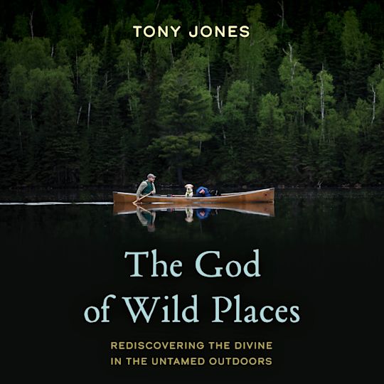 The God of Wild Places cover