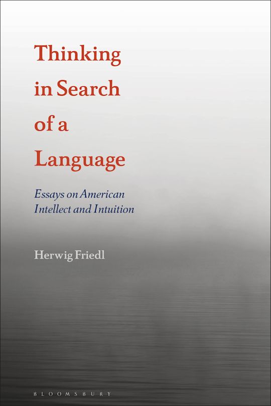 Thinking in Search of a Language cover