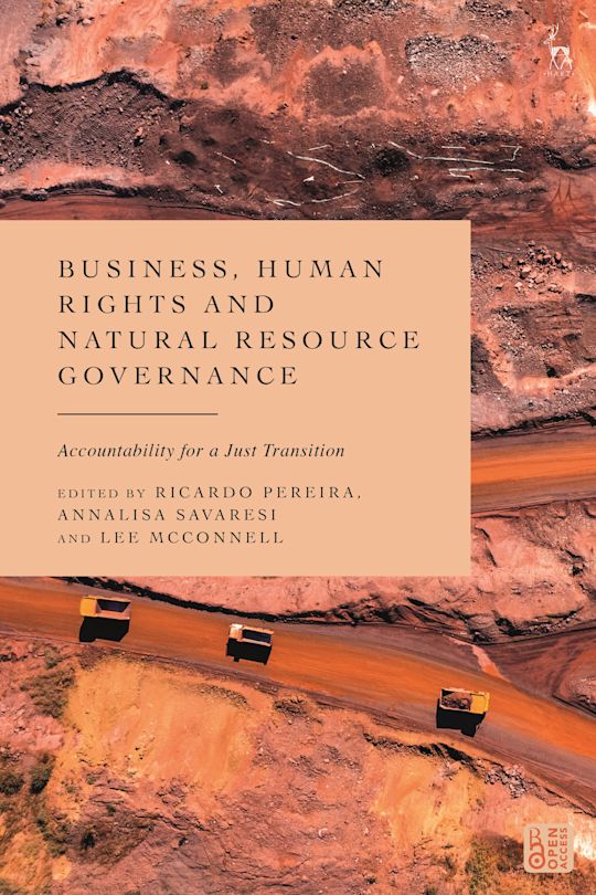 Business, Human Rights and Natural Resource Governance cover