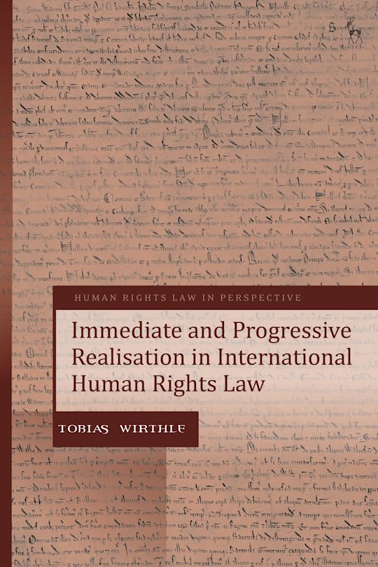 Immediate and Progressive Realisation in International Human Rights Law cover