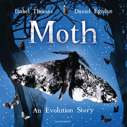 Moth cover